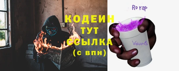 тгк Абаза