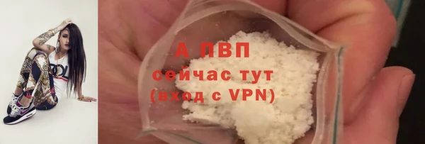 тгк Абаза