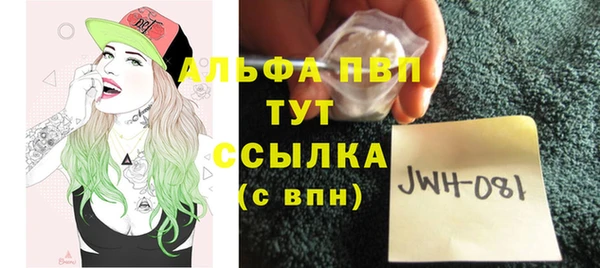 тгк Абаза