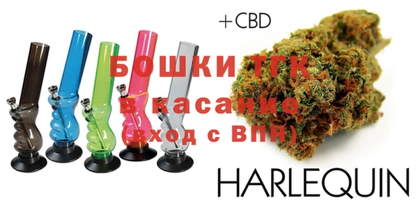 мдпв Инсар